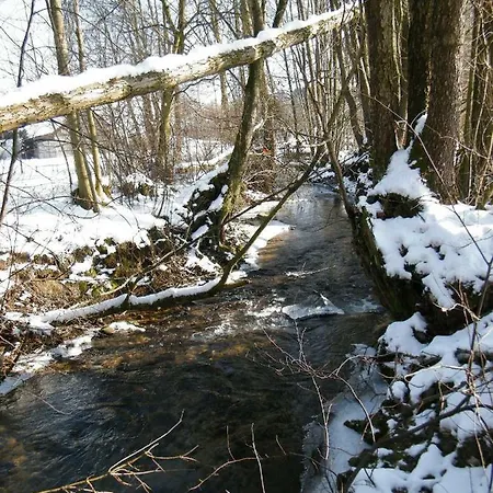 Ferien Vom Ich, Bayerischer Wald, & Restaurant Otel Neukirchen (Lower Bavaria)