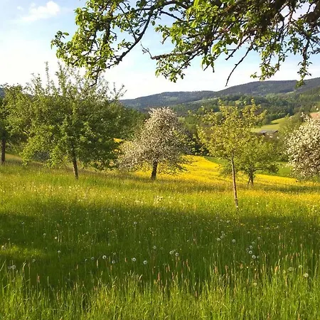 Ferien Vom Ich, Bayerischer Wald, & Restaurant Otel