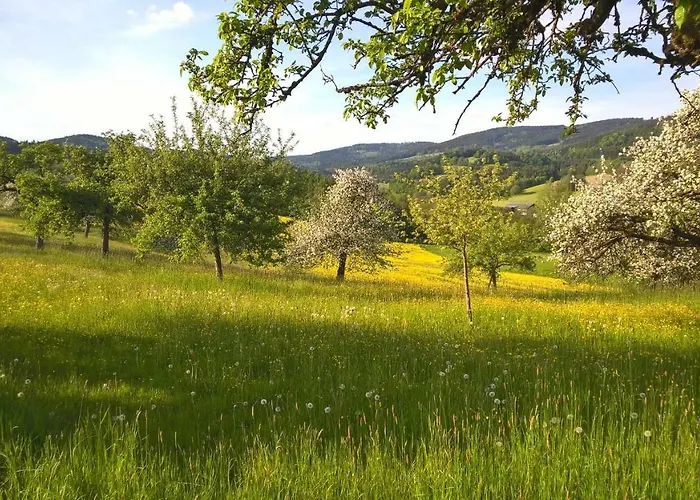 Ferien Vom Ich, Bayerischer Wald, & Restaurant Отель