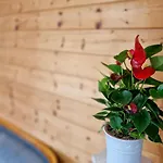 Hotel Ferien Vom Ich Neukirchen (Lower Bavaria)