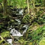 Hotel Ferien Vom Ich, Bayerischer Wald, & Restaurant 3*