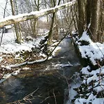 Ferien Vom Ich, Bayerischer Wald, & Restaurant Hotel Neukirchen (Lower Bavaria)