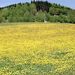 Hotel Ferien Vom Ich, Bayerischer Wald, & Restaurant 3*