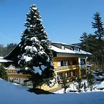 Hotel Ferien Vom Ich, Bayerischer Wald, & Restaurant Neukirchen (Lower Bavaria)