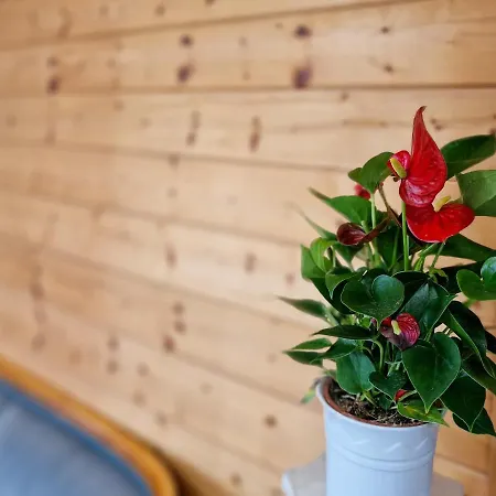 Otel Ferien Vom Ich, Bayerischer Wald, & Restaurant Neukirchen (Lower Bavaria)