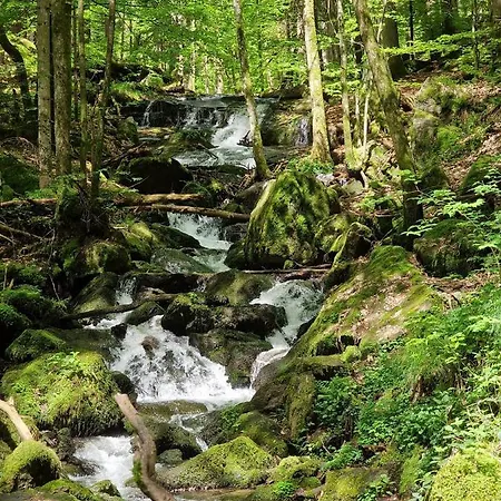 Hotel Ferien Vom Ich, Bayerischer Wald, & Restaurant 3*