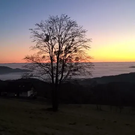 Ferien Vom Ich, Bayerischer Wald, & Restaurant Neukirchen (Lower Bavaria)