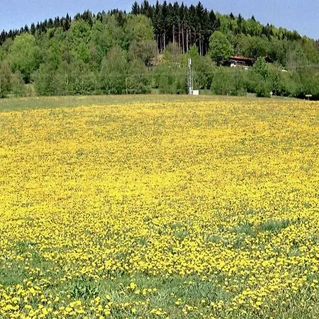 Otel Ferien Vom Ich, Bayerischer Wald, & Restaurant 3*