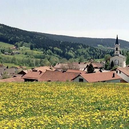 Ferien Vom Ich, Bayerischer Wald, & Restaurant Neukirchen (Lower Bavaria)