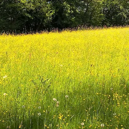 Ferien Vom Ich, Bayerischer Wald, & Restaurant