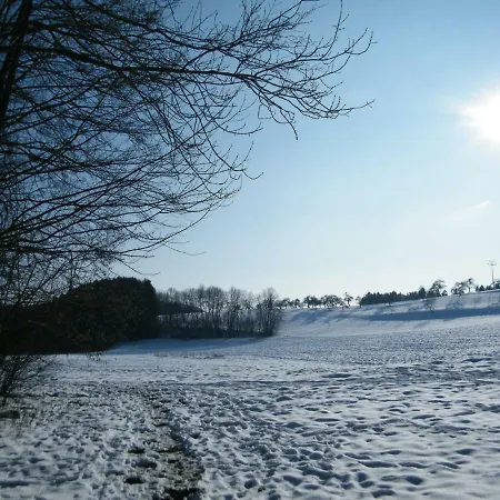 Otel Ferien Vom Ich, Bayerischer Wald, & Restaurant Neukirchen (Lower Bavaria)