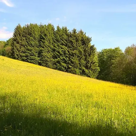 Otel Ferien Vom Ich, Bayerischer Wald, & Restaurant