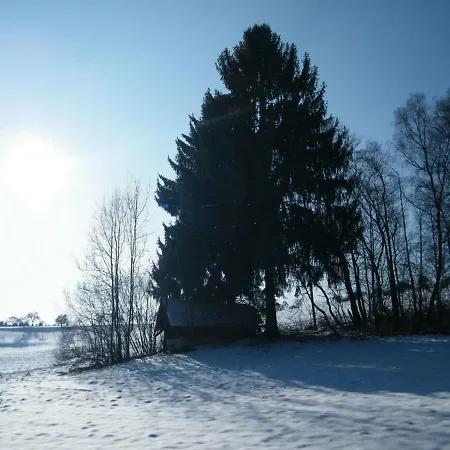 Otel Ferien Vom Ich, Bayerischer Wald, & Restaurant 3*