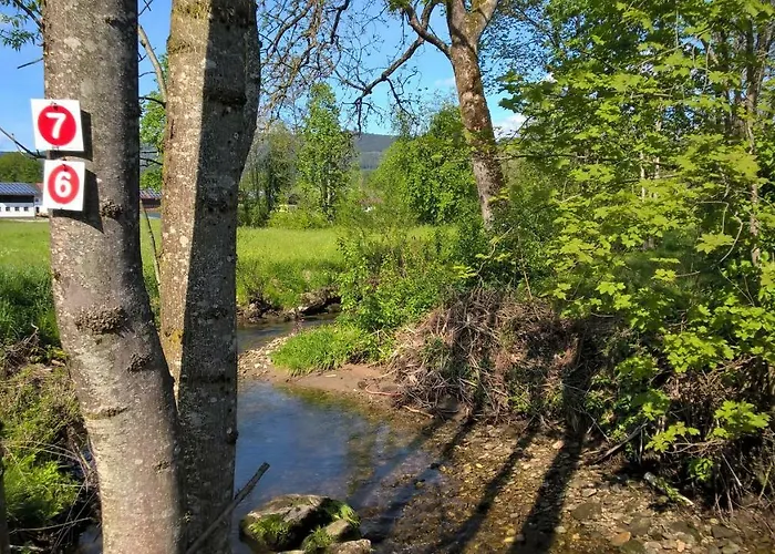 Ferien Vom Ich, Bayerischer Wald, & Restaurant Hotel Neukirchen (Lower Bavaria)