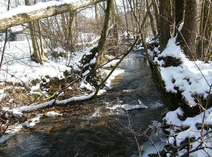 Ferien Vom Ich, Bayerischer Wald, & Restaurant Hotel Neukirchen (Lower Bavaria)