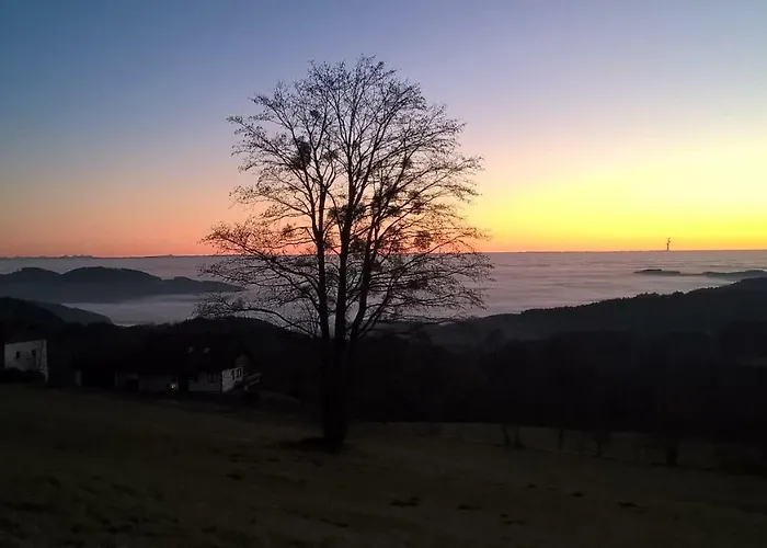 Ferien Vom Ich, Bayerischer Wald, & Restaurant Neukirchen (Lower Bavaria)
