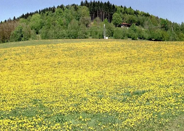 Hotel Ferien Vom Ich, Bayerischer Wald, & Restaurant 3*