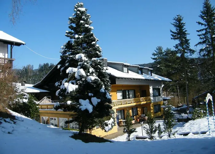 Hotel Ferien Vom Ich, Bayerischer Wald, & Restaurant Neukirchen (Lower Bavaria)