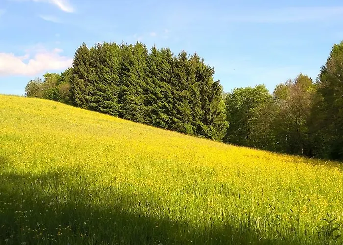 Hotel Ferien Vom Ich, Bayerischer Wald, & Restaurant