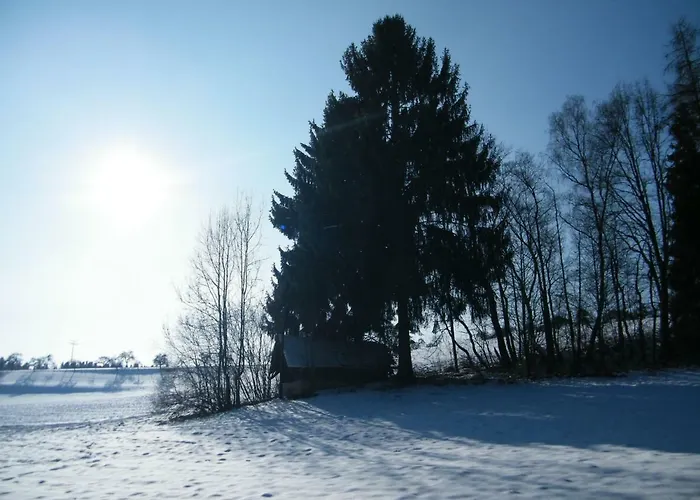 Hotel Ferien Vom Ich, Bayerischer Wald, & Restaurant 3*